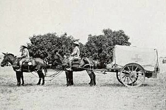 A mule-drawn sandcart From: With the Royal Army Medical Corps in Egypt. .