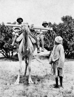The ”improved” cacolet for seated casualties From: With the Royal Army Medical Corps in Egypt. .