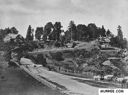 A Murree bridge in 1865. Could this be the road that Thomas worked on? From .