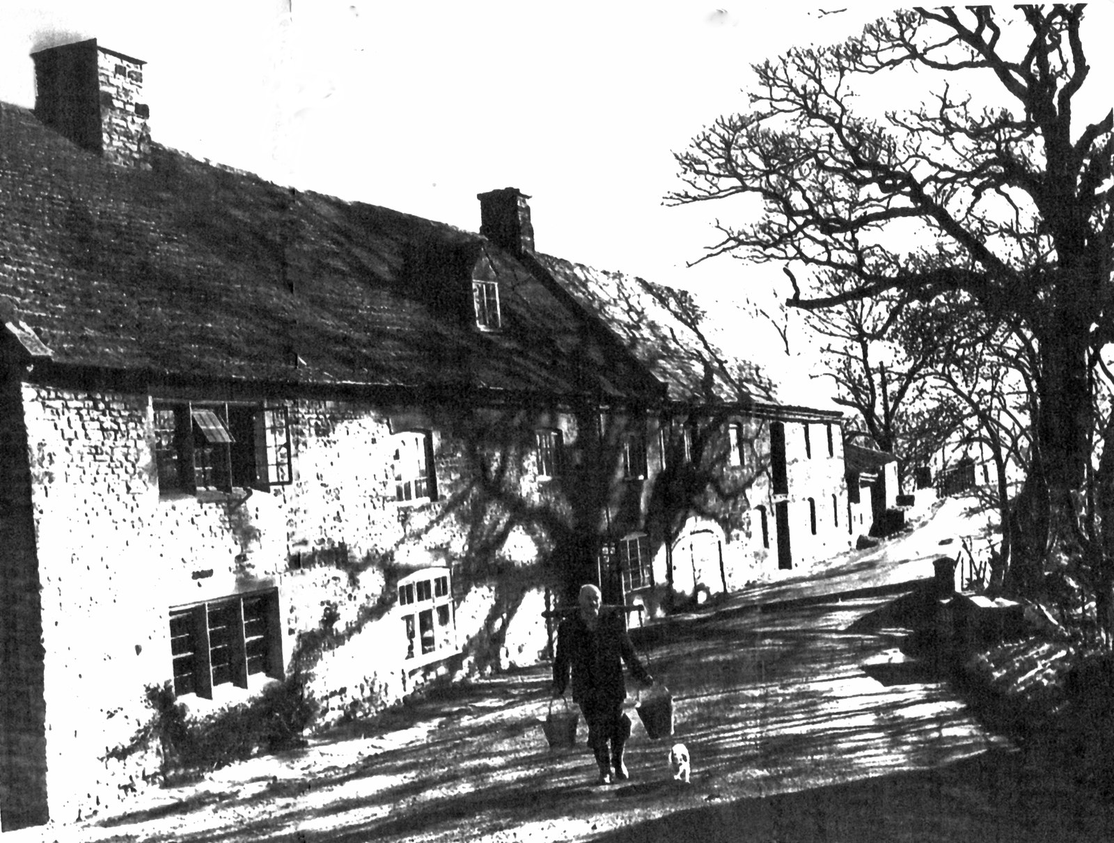 The owner, Mr. Hawes, carrying water outside Willy Watt Mill in the 1950s.