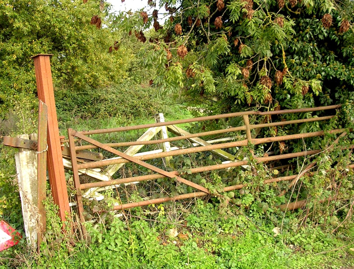 Taken from approximately the same spot on 27th October 2010. (Gate as if across track) .