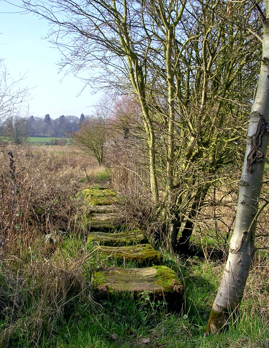 Stone sleepers did not prove suitable and were replaced by wooden ones. The original ones were laid as stepping-stones from the station area to Addington through the water meadows. (Taken 4th March 2011).